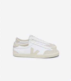 Sneakers Uomo Veja Volley Canvas Pierre Bianche | Italy-189368